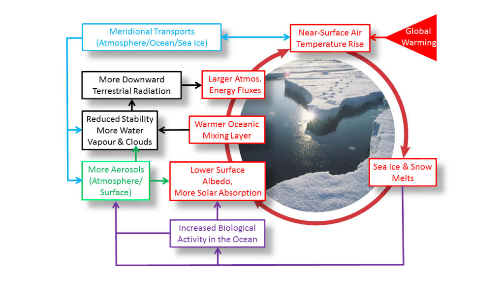 Scheme of important feedback mechanisms and processes determining Arctic amplification. Red:
Direct surface albedo feedback; Black: Water vapour, cloud, and lapse rate feedback mechanism; Green: Aerosol
effect on clouds; Pink: Biological and oceanic particle emission efects; Blue: Remote feedback processes. Adapted
from Wendisch et al. (2017).