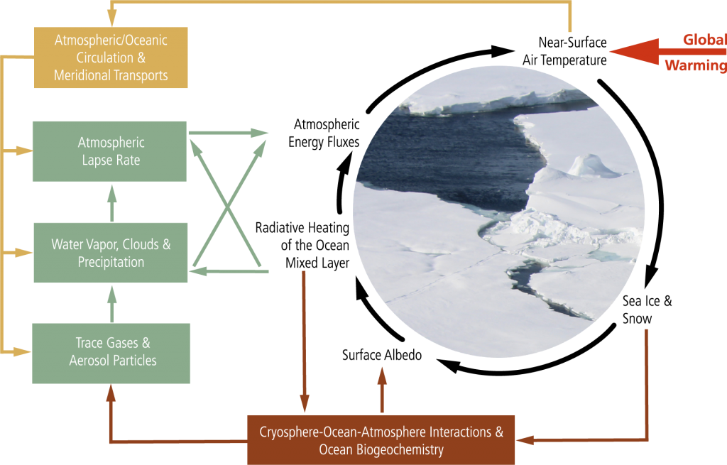 The simplified [ac3] schematic of important local and remote processes and feedback mechanisms driving Arctic amplification. The figure illustrates the initial triggering by Global Warming (red), and shows examples of process/feedback mechanisms such as the local Surface Albedo Feedback (black), Upper Ocean Effects (brown), local Atmospheric Processes (green), and remote Arctic - Midlatitude Linkages (yellow). Adapted
from Wendisch et al. (2023).