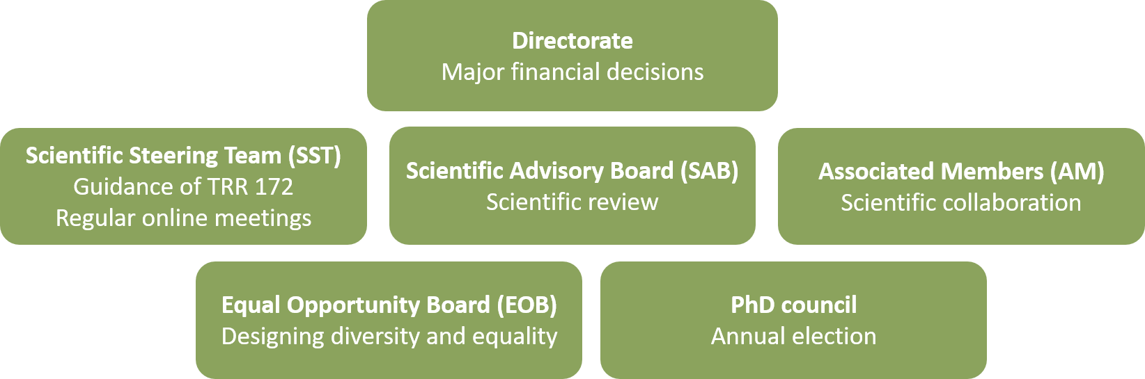 Structure_Committees