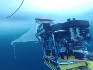 Der Tauchroboter, das Untereis-ROV Beast, während eines Tauchgangs unter Meereis mit dem neuen ROV-Netz. Foto: AWI Meereisphysik.