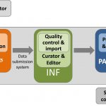 matrix_INF