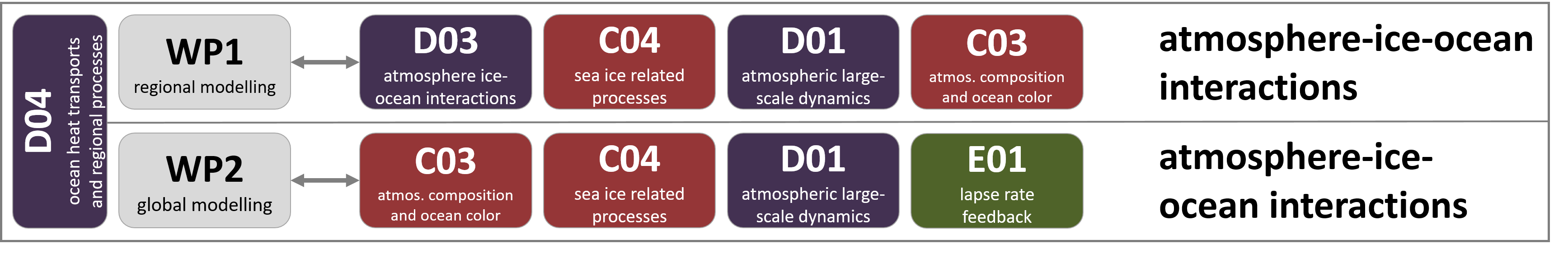D04_coll