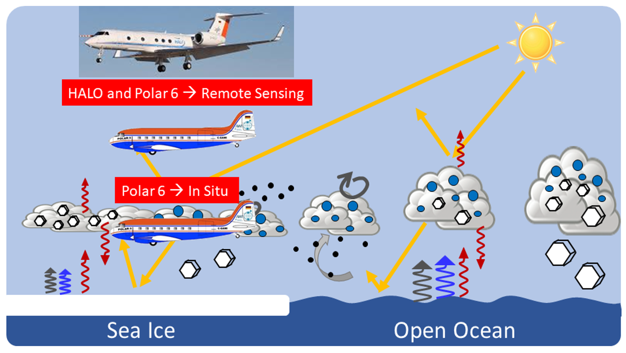 Scheme of collocation of DLR-HALO with AWI-Polar 5 and Polar 6 aircraft, as planned for HALO-(AC)³.