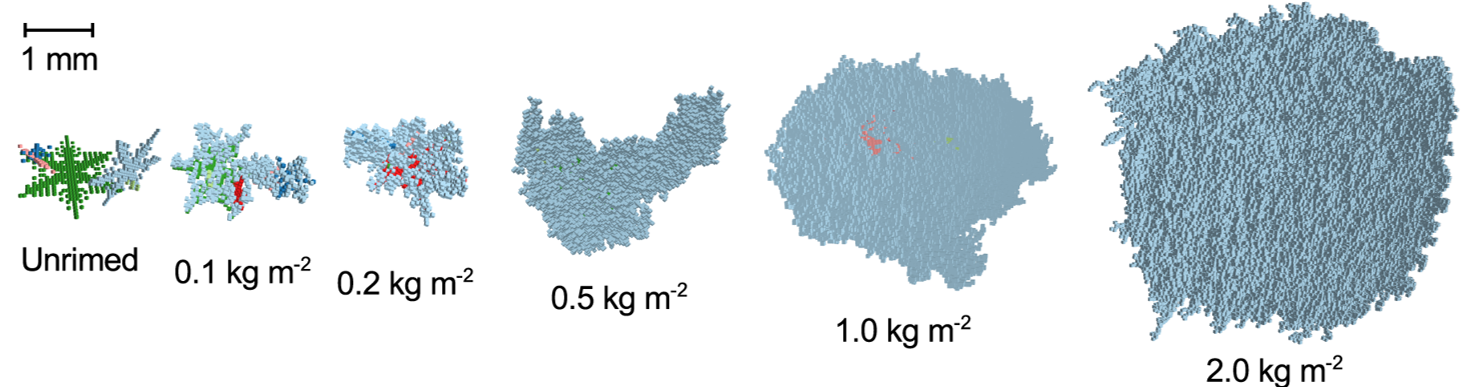 Illustration of modeled snow particles with a numerical aggregation and riming model.