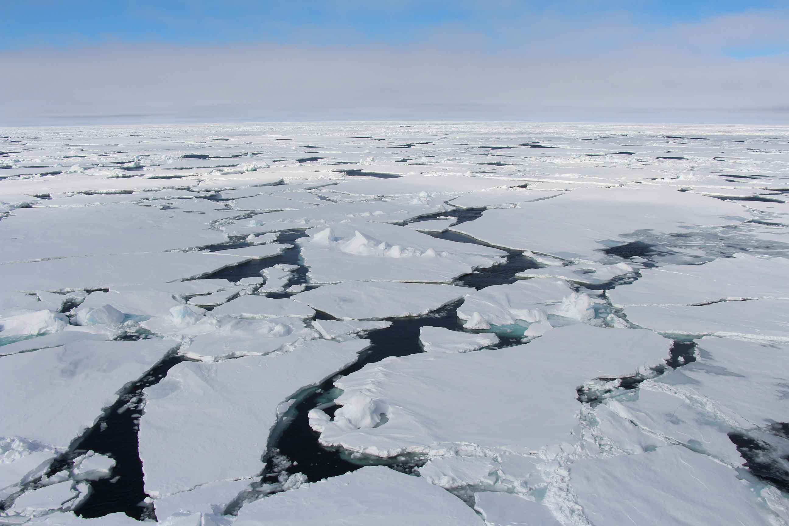 The Arctic sea ice has declined significantly during the last years.